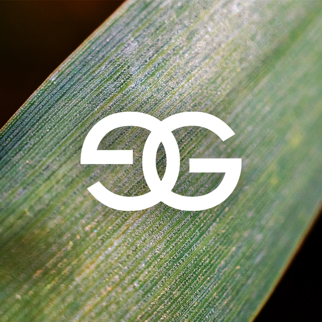 Goya Floristas - Portada