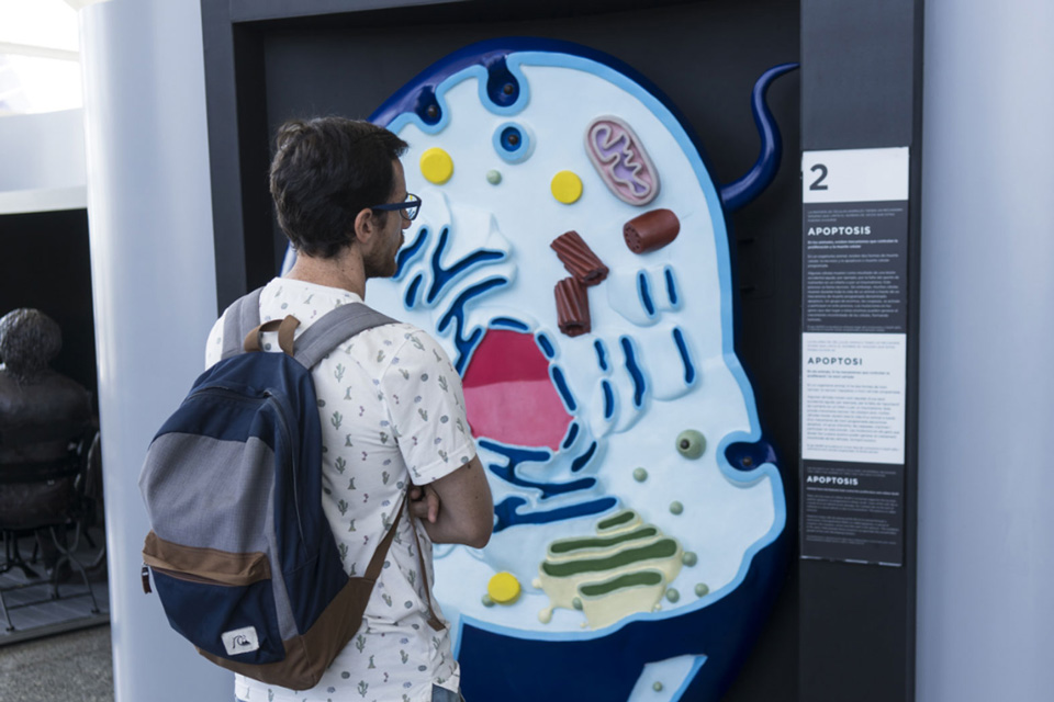 Imágenes del juego interactivo para la Ciudad de las Artes y las Ciencias de Valencia