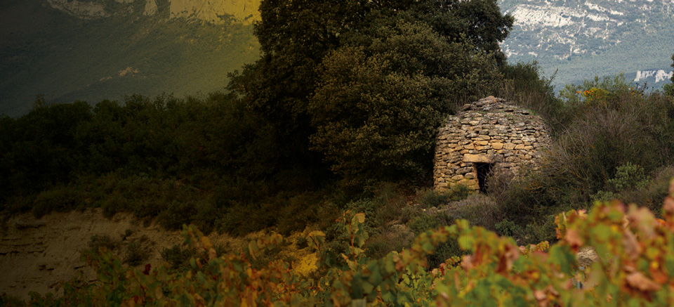 Nueva marca de Ruta del Vino de Rioja Alavesa